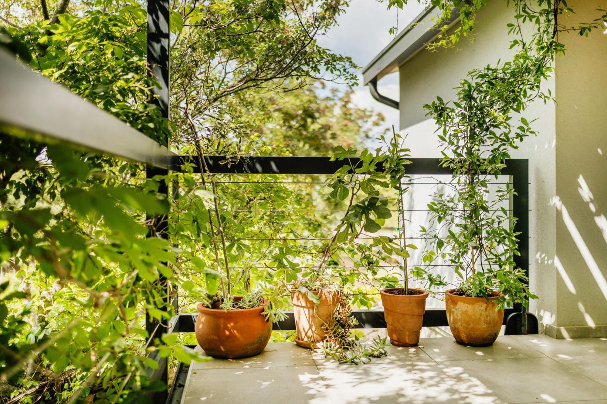 Peroj'S Green Oasis - Holiday Home Exterior photo
